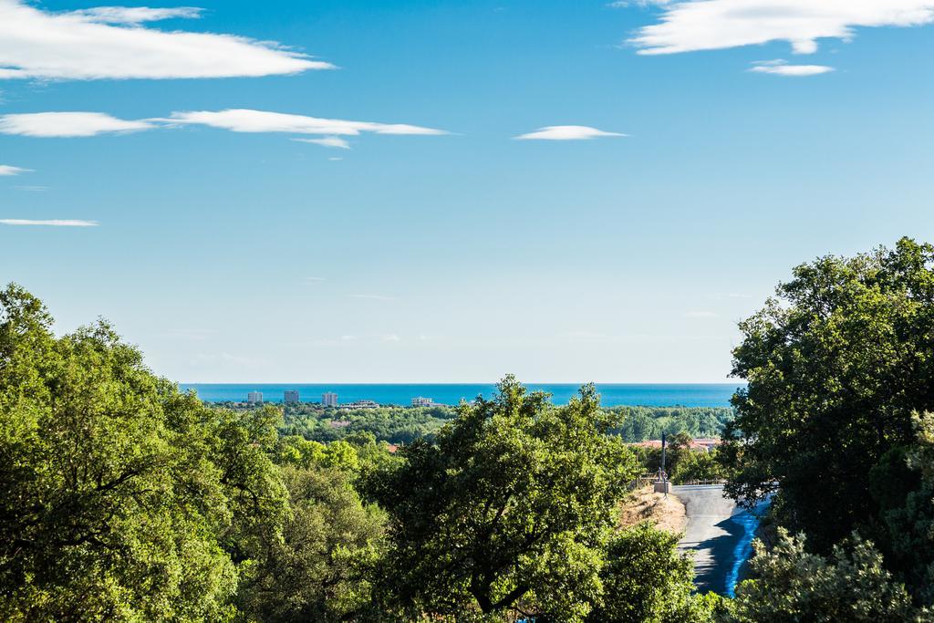 Domaine Des Mimosas Apartment Argeles-sur-Mer Ngoại thất bức ảnh